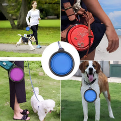 Pet Silicone Bowl