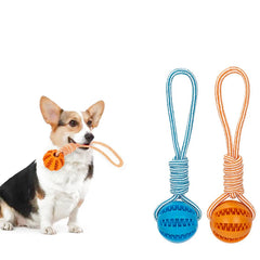 Pet Treat Balls