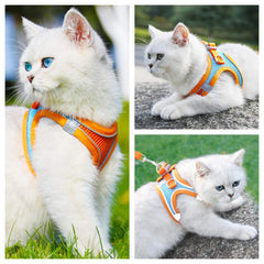 Pet Harnesses