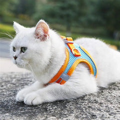 Pet Harnesses