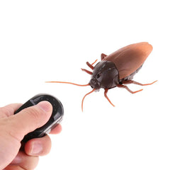 Cockroach Remote Control Toy