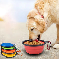 Pet Silicone Bowl