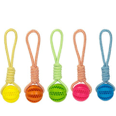 Pet Treat Balls